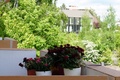 Spitzenrendite - sichere Miete - 2-Zimmer Wohnung mit Balkon in Schoppershof 226562