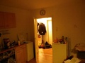 Toll geschnittene 2-Zimmer Wohnung 68475