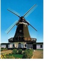 Windmühle (Galerie-Holländer) auf der Insel Fehmarn - teil-/vollgewerblich nutzbar 48571