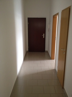 Sehr schöne sonnige 2-R-Wohnung in Magdeburg-Sudenburg ca.58m² mit Balkon und EBK 341319